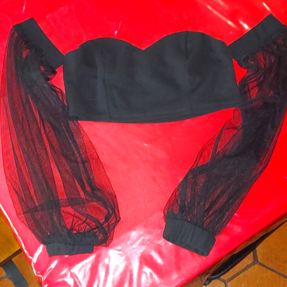 Stunning black half top with sheer long sleeves